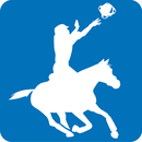 Logo-Horse-Ball listitem