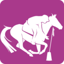 Logo-Pony-Games listitem