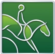 FEI Eventing