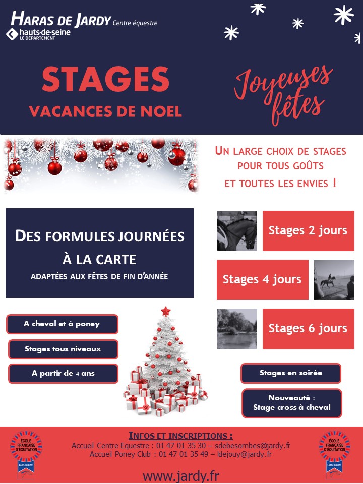 stage noel 2019